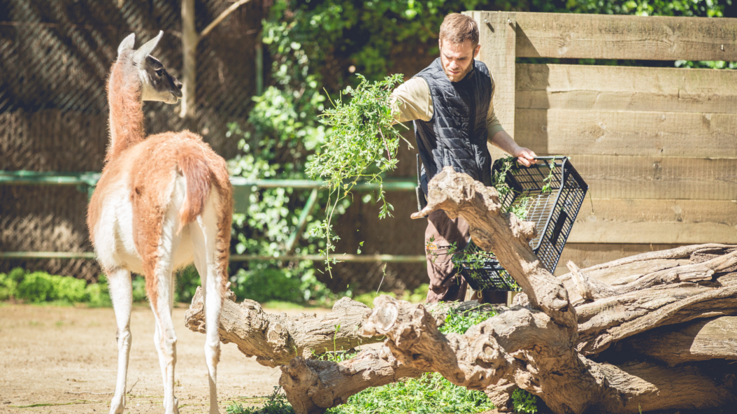 Zoo Barcelona