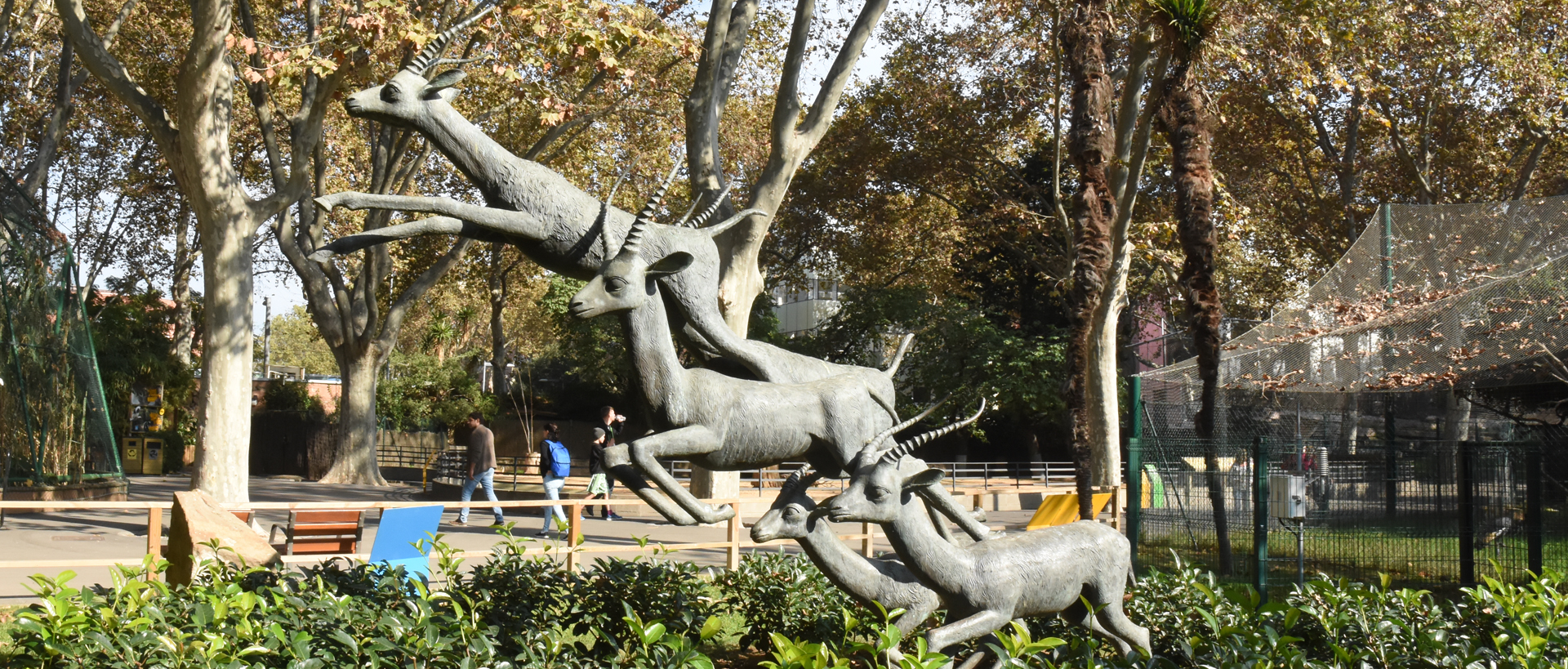 Conjunto de ciervos - Zoo Barcelona