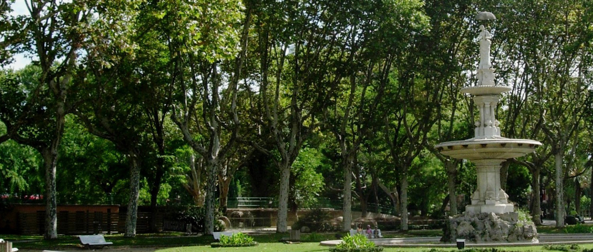 Dama del Paraigua - Zoo Barcelona