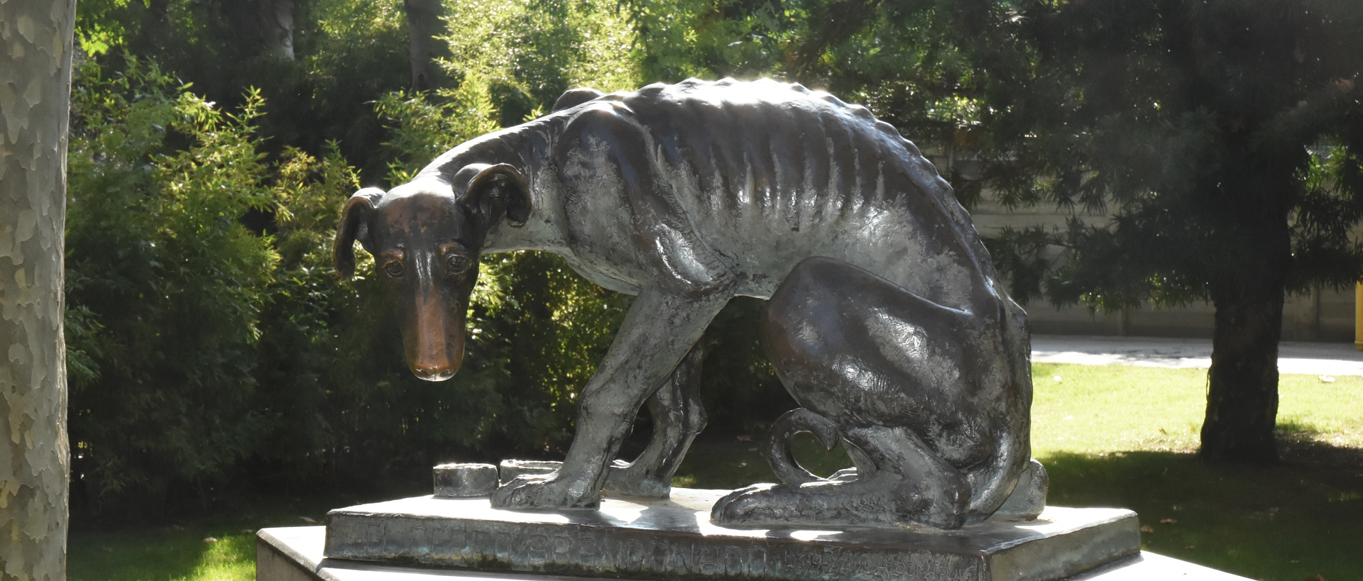 Perro hambriento - Zoo Barcelona