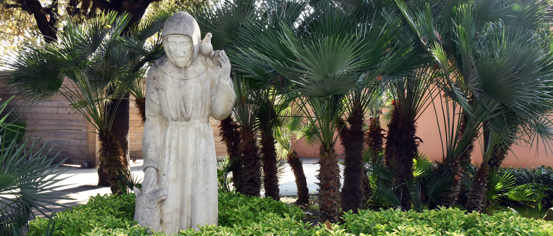 St. Francis of Assisi - Zoo Barcelona