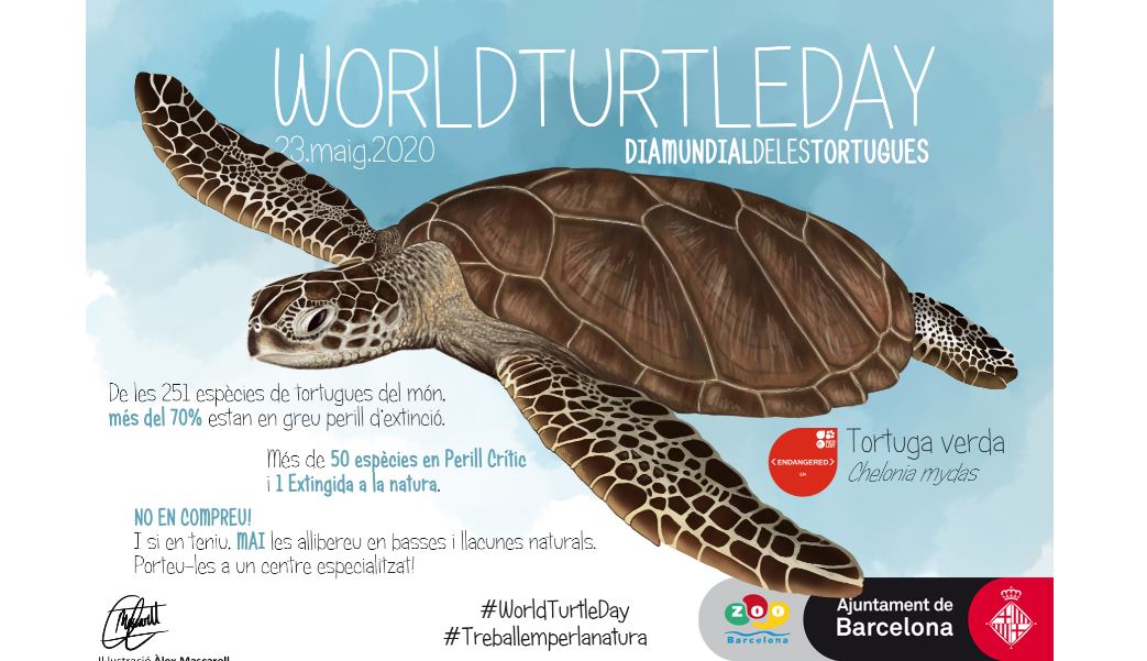 Dia Mundial de les Tortugues