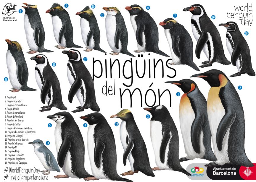 Pingüins del món