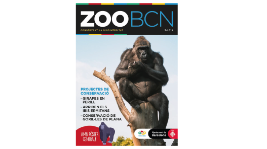 Revista ZOO BCN