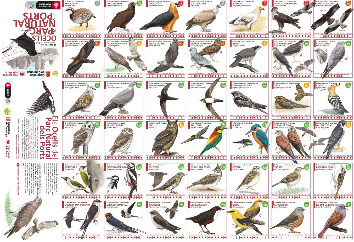 Desplegable dels Ocells del Parc Natural dels Ports