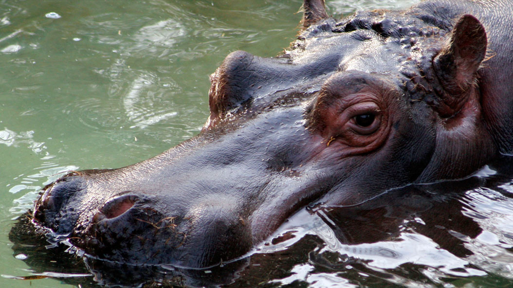 Zoo Barcelona
