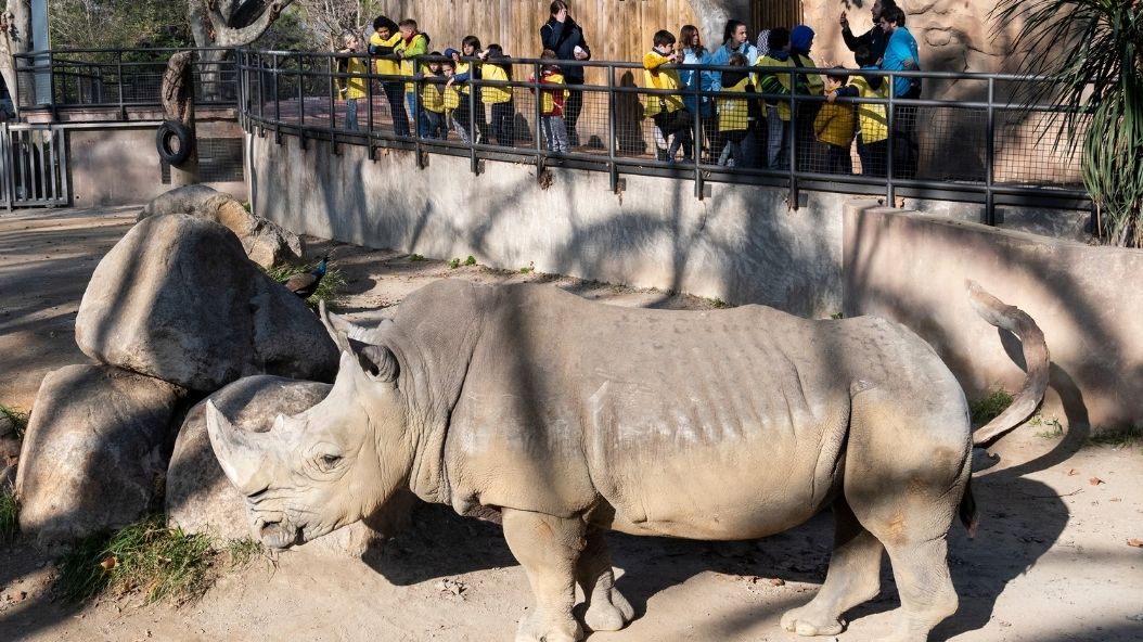 Zoo Barcelona