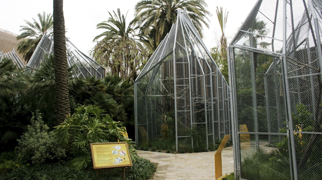 2008 - Zoo Barcelona