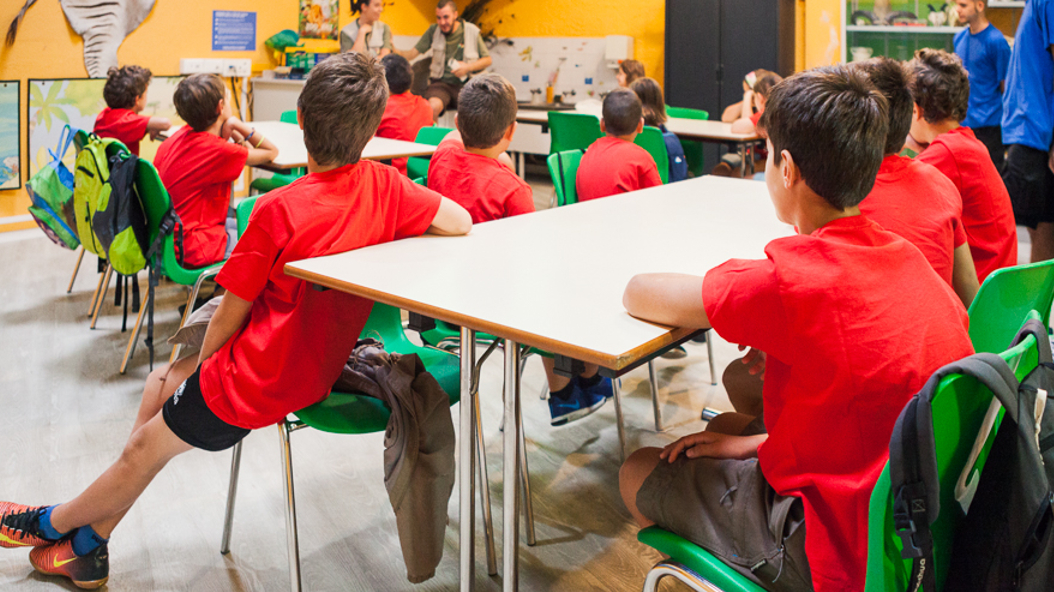 Visita el Zoo va a la escuela