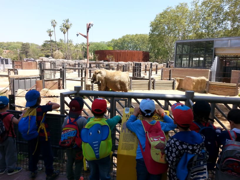 nens i nenes instal.lació elefants