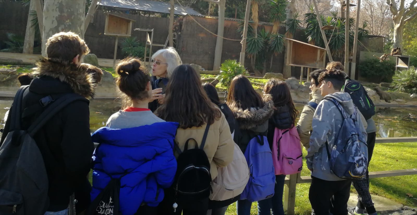 La classe de tercer d' ESO  descobreix la particular vida social de les mones aranya