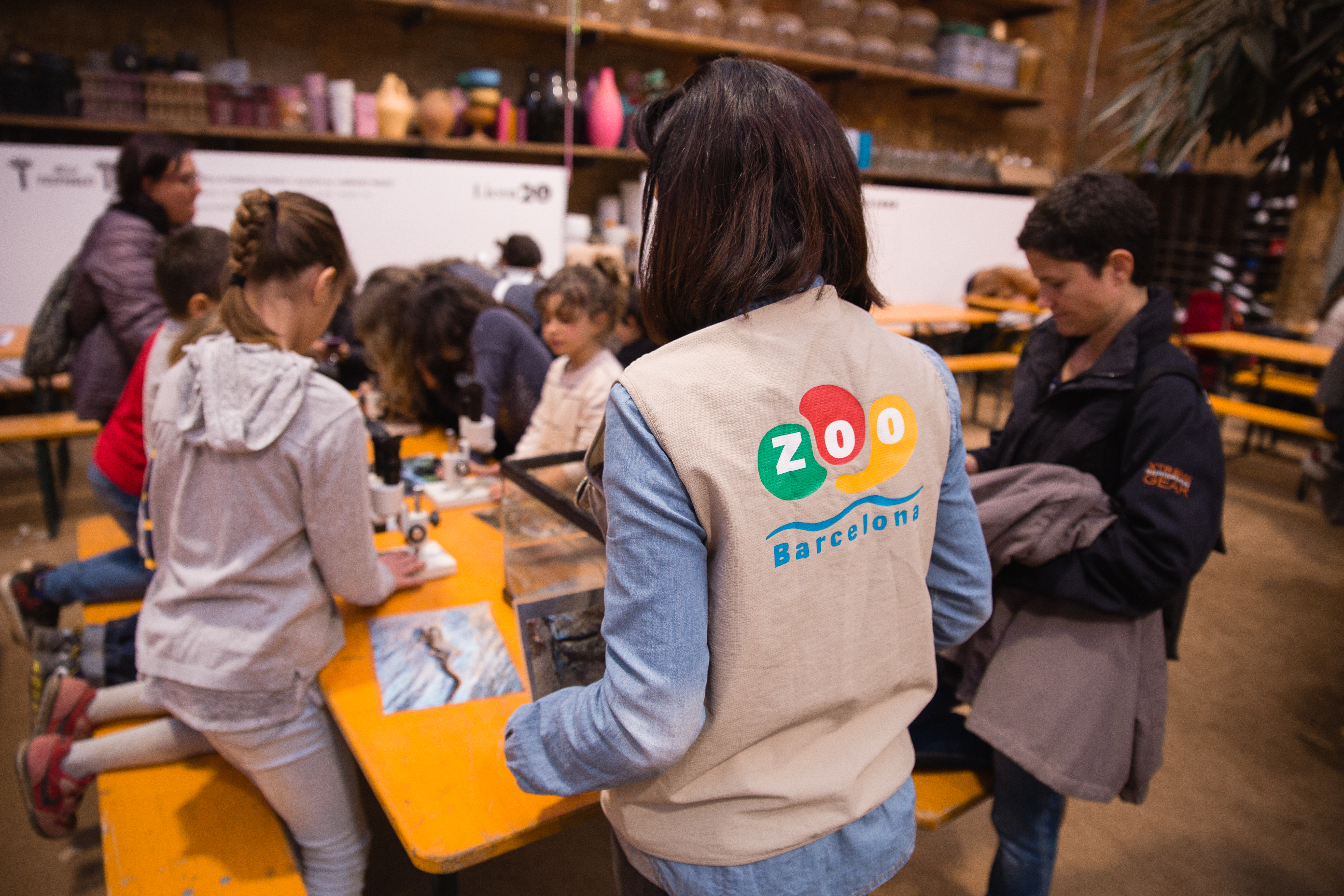 Barcelona aprueba su nuevo modelo de Zoo, el que refuerza el compromiso de la ciudad con la preservación del planeta | Zoo Barcelona