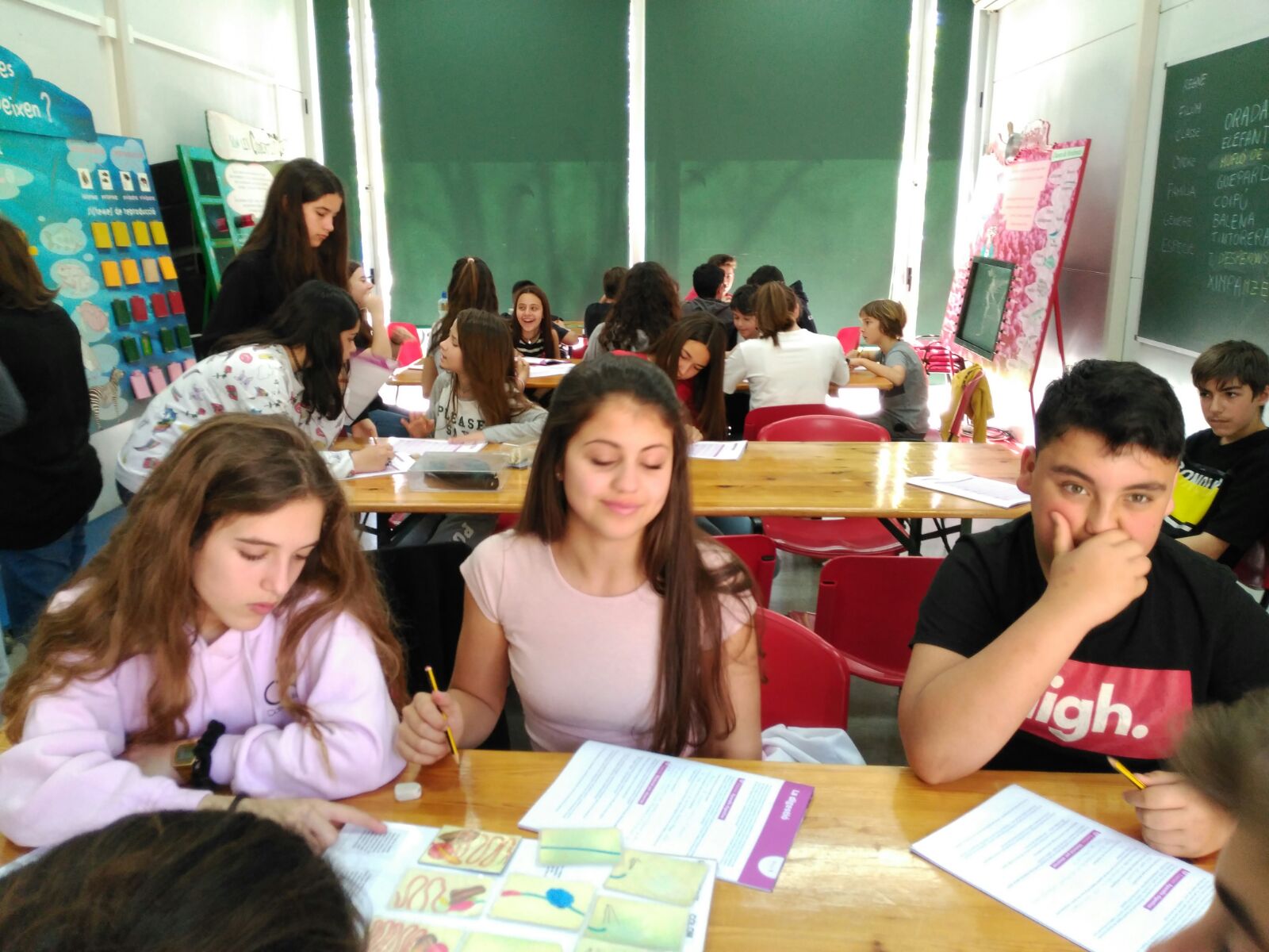 Santa Dorotea 1er ESO Alumnes fent el taller de nutricio i reproducció