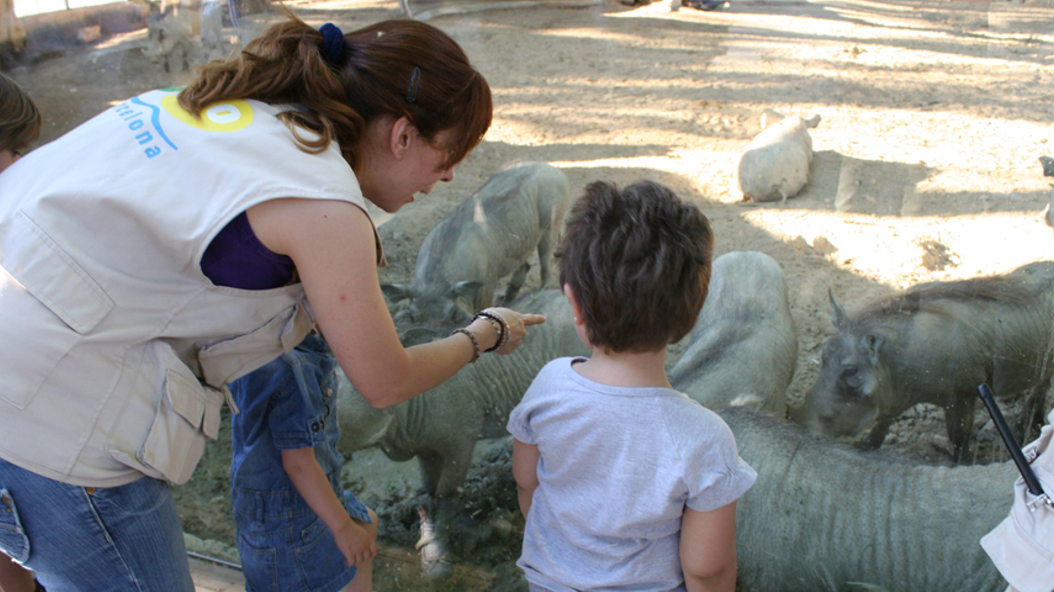 Dreaminght at the Zoo