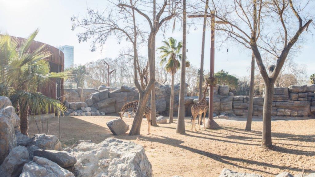 Complejo Sahel Zoo de Barcelona