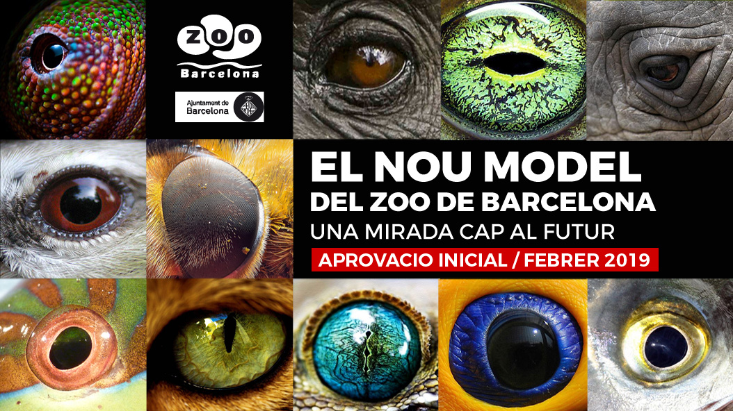 Pla estratègic Nou Model Zoo Barcelona
