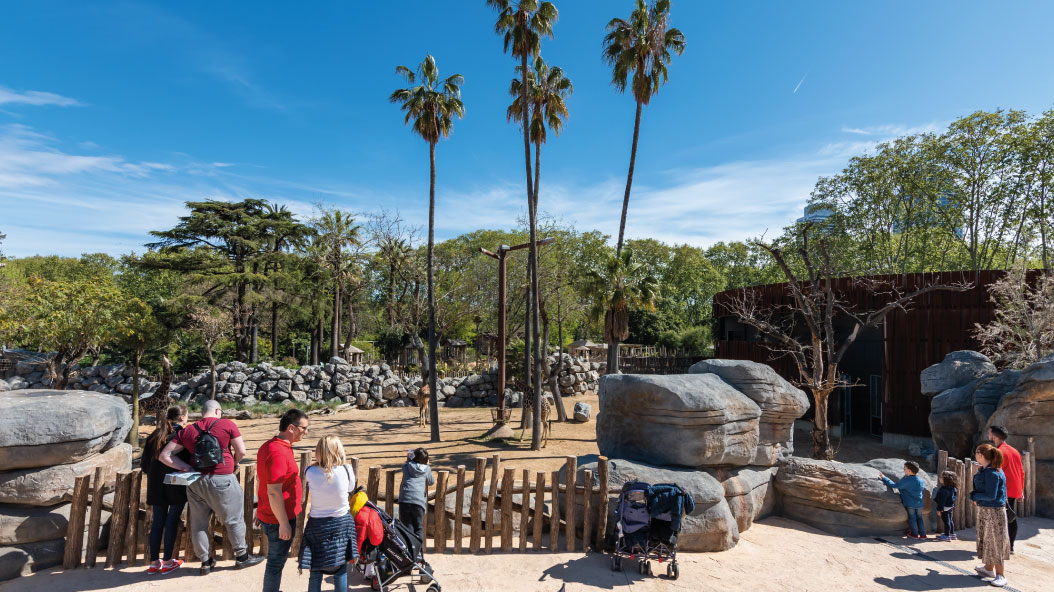 Una reanudación y llena de proyectos | Zoo Barcelona