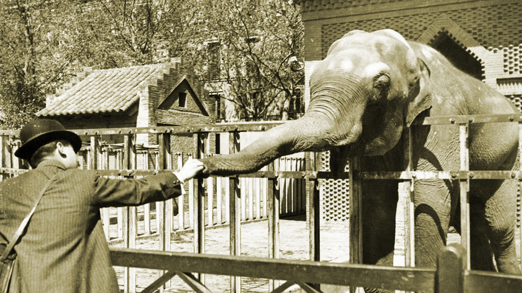 1915 - Zoo Barcelona
