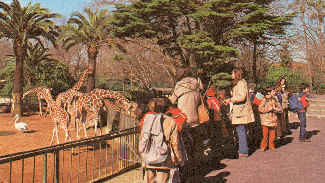 1975 - Zoo Barcelona