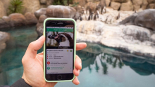 Reestrenem la nostra app gratuïta!