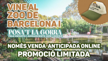 Posa’t la gorra 2021