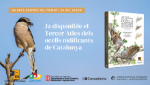 Publicado el ‘Tercer atles dels ocells nidificants de Catalunya’