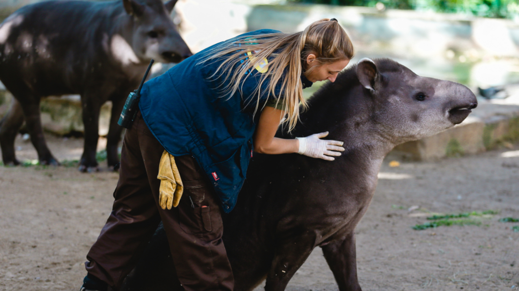 Aventuras Zoo de Barcelona